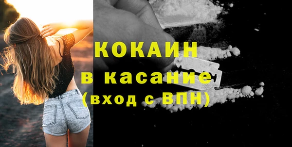 шишки Богородск