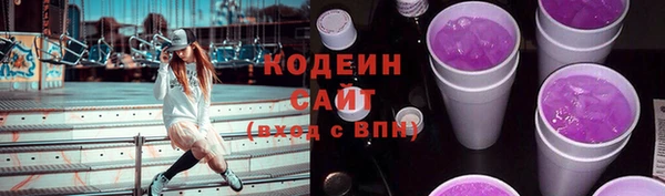 шишки Богородск