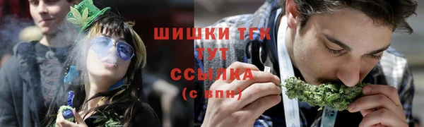 шишки Богородск