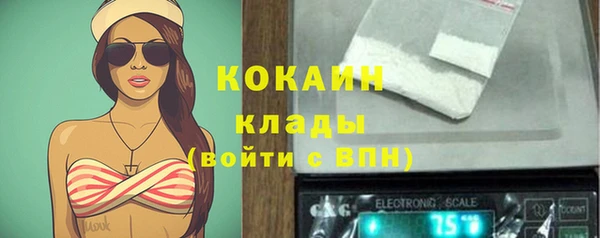 ALPHA-PVP Богородицк