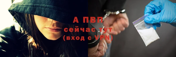 шишки Богородск