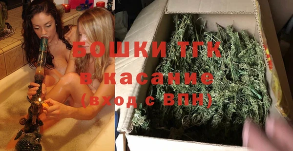 шишки Богородск