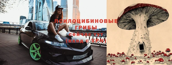 a pvp Богданович