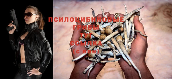 ALPHA-PVP Богородицк