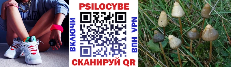 Галлюциногенные грибы Cubensis  закладка  площадка Telegram  Кинешма 
